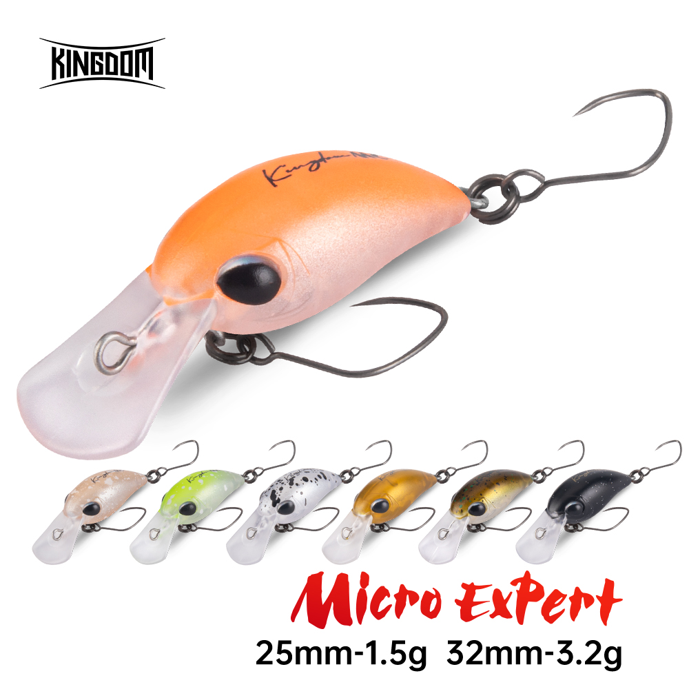 Fishing Lure Crankbait - Kingdom leurre de pêche Micro Expert